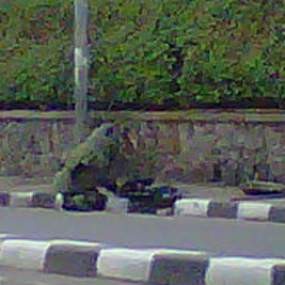 Tas Mencurigakan Diamankan, Lalin Dewi Sartika-Pasar Minggu Lancar