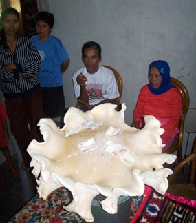 Petani Gula Temukan Jamur Raksasa