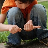 Jika 2 dari 7 Pertanyaan Ini Dijawab Tidak = Anak Berisiko Autis