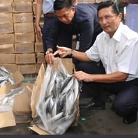 80 Kontainer Pangan Impor Jepang Masuk RI Bebas Radiasi