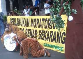 Kantor Menko Perekonomian Diduduki Aktivis Greenpeace
