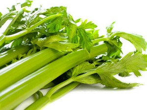 Seledri, Renyah Segar Kaya Nutrisi
