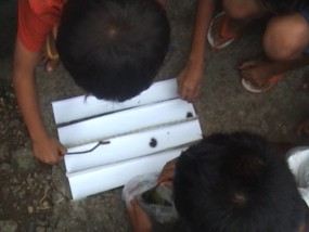 Wah! Ada Adu Balap Ulat Bulu