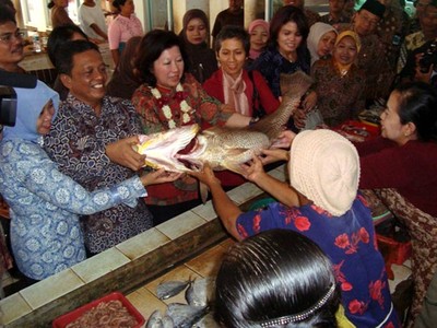 Mendag Sambangi Pedagang di Pacitan
