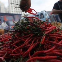 Harga Cabai Turun Ekstrem, Giliran Petani Teriak