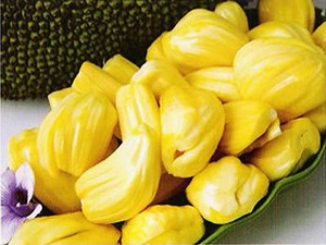 Nangka, si Legit Penjaga Tekanan Darah