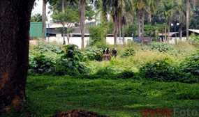 Bom Serpong Disiapkan 2 Hari Lalu akan Diledakkan Jumat  Pagi