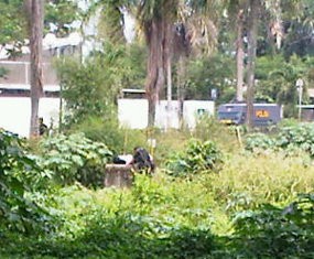 TPM: Tersangka Teroris Harus Pilih Pengacaranya Sendiri