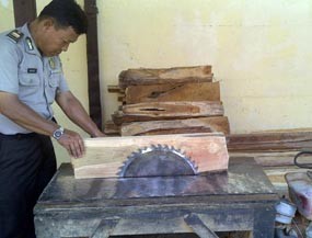 Pengolahan Kayu Ilegal Digerebek Polisi