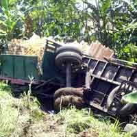 Ban Meletus, Truk Gandeng Bermuatan Kayu Masuk Jurang