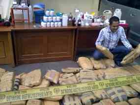 Ganja 170 Kg Disita dari Cengkareng, Tersangka Kabur