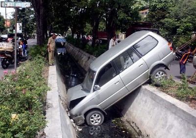 Kijang Nyemplung Sungai