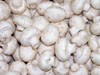  Apa Itu Jamur Champignon?