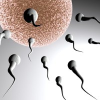Sperma Tak Berdaya Karena 10 Hal Ini