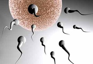 Sperma Tak Berdaya Karena 10 Hal Ini