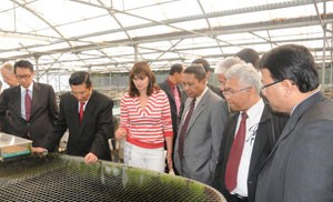 Indonesia Raih Order Seafood Rp 274,8 M dari Eropa