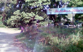 Dada: Penebang Pohon di Baksil Pasti Orang tak Waras