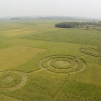 Beta UFO: Sekarang Kami Yakin Crop Circle di Cikarang untuk Iklan
