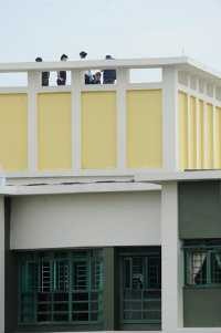 TKW di Singapura Ditemukan Tewas di Tangki Air