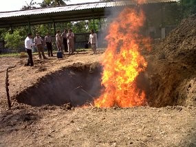 Diduga Berpenyakit, 9 Ton Kulit Impor di Semarang Dibakar