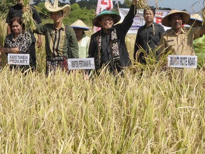 Mentan Panen Raya 