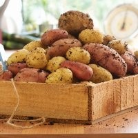 Umbi-umbian Lebih Bergizi Dibanding Makanan ala Barat