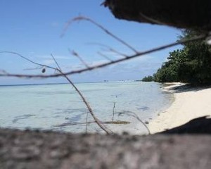 Mengagumi Beningnya Laut di Pulau Tidung