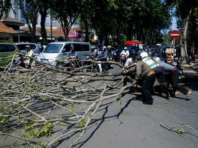 Dahan Pohon Tumbang Tutupi Jalan