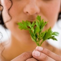 Perangi Bau Mulut dengan Makanan Ini