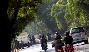 Belum Kantongi Izin, Penebangan 1.056 Pohon di Jakarta Timur Molor