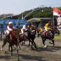 Kuda Master King Milik Kapolda Jatim Rebut Juara 1