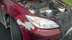 Hii, 6 Ekor Tikus Bersarang di Mesin Mobil!