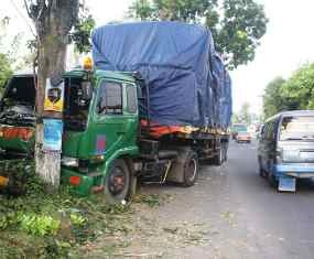 Gara-gara Mengantuk, Truk Trailer Tabrak Pohon Hingga Roboh