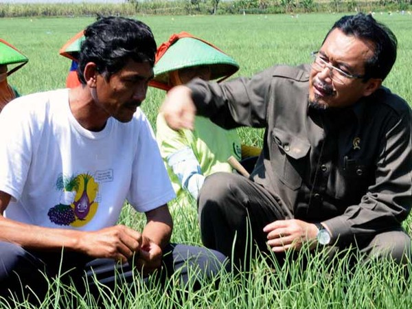 Petani Minta Batasi Impor Bawang