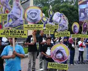 Minat Konsumtif Satwa Primata Tinggi, ProFauna Turun ke Jalan