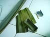 Pandan Hutan