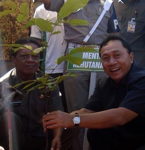 Tekan Ilegal Logging, Pemerintah Gencar Kampanye Hingga Luar Negeri