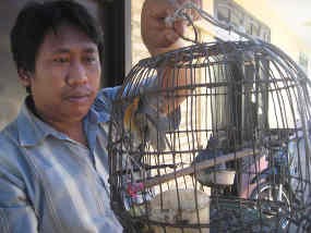 Petugas TNAP Amankan Puluhan Burung Langka