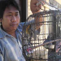 Petugas TNAP Amankan Puluhan Burung Langka