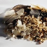 Jamu Tak Bikin Ginjal Rusak, Asal..