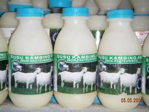 Susu Kambing Untuk yang Alergi Susu