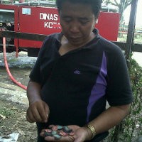 Uang Rp 18 Juta untuk Renovasi Rumah Hangus Terbakar
