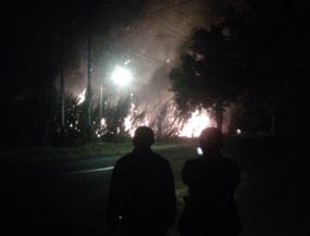 Lima Hektar Kebun Tebu Ludes Terbakar