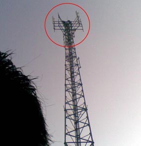 Perempuan Bertengger di Atas Tower Gegerkan Warga Pacitan