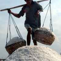 Pemerintah Genjot Produksi Garam Made in Indramayu