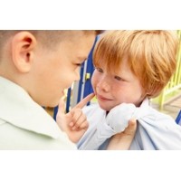 Anak Tengah Paling Sering Melakukan Bullying