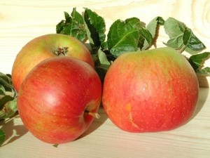 Yuk, Makan Apel Sebelum Bersepeda!