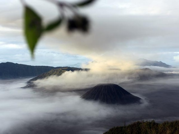 Bromo Berselimut Kabut