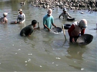Ada Emas di Sungai Brantas