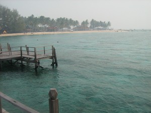 Pulau Derawan-Surga Petualangan Laut
